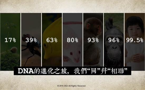 华大股份ceo尹烨基因或让人类最终克服肿瘤