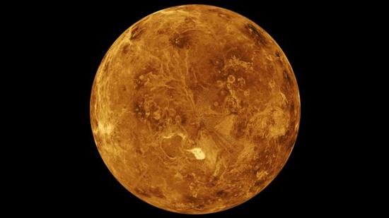 雷达图片显示金星表面非常贫瘠.