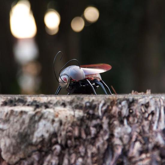 iphone遥控昆虫飞行器 蚁人部队现实版