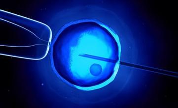 体外培养人类胚胎时间创新记录。(新浪科技配图)