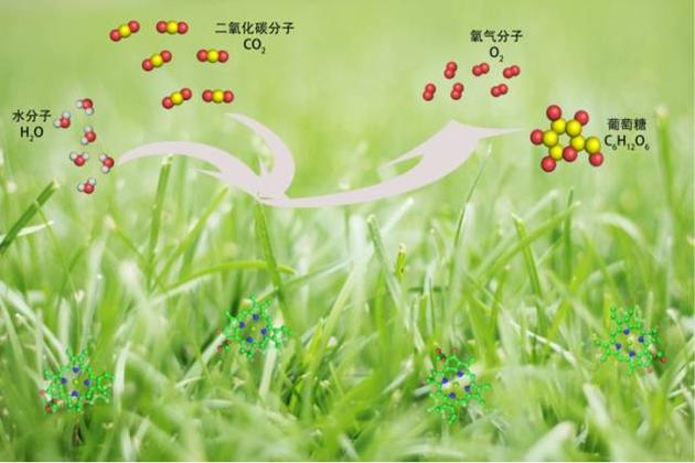 最精妙的光合作用机器:捕获太阳能,变水为氧气