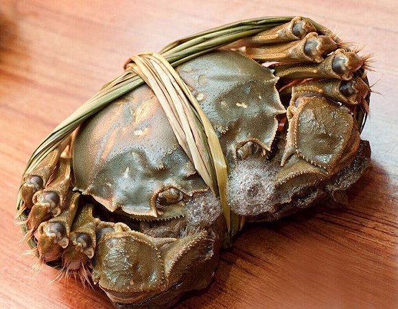 阳澄湖大闸蟹保鲜大战又来了生鲜冷链运输的问题何时能解