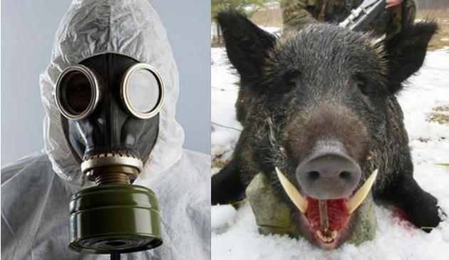 魔术贴吊起两吨汽车加油向未来揭自然仿生学