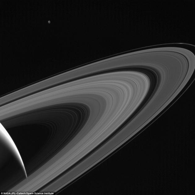 在近期公布的一张图片中，土卫三似乎成了土星唯一的伴侣，沐浴在“土星光辉”中。这张图片是卡西尼号在距离土星约120万公里的位置拍摄的，显示出这颗中等大小的卫星被土星反射过来的阳光照亮的情景。