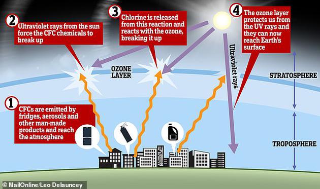 人类活动释放出的气体正在侵蚀环绕地球的臭氧层。臭氧层空洞的扩张意味着更多来自太阳的热量直接到达地球表面，导致陆地和海洋变暖