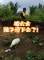 一只鸭子和一个小男孩的暖心友谊-帅哥动态图片-gif动态图-izike