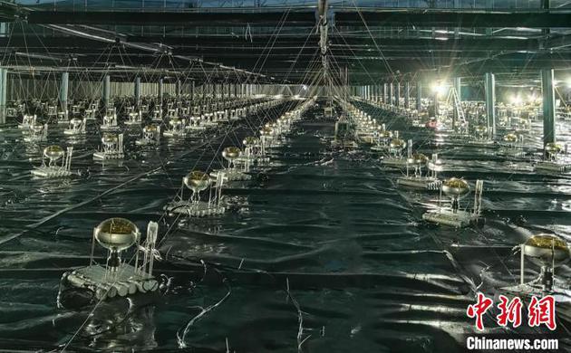 LHAASO水池内安装到位的部分探测器阵列。中科院高能所 供图