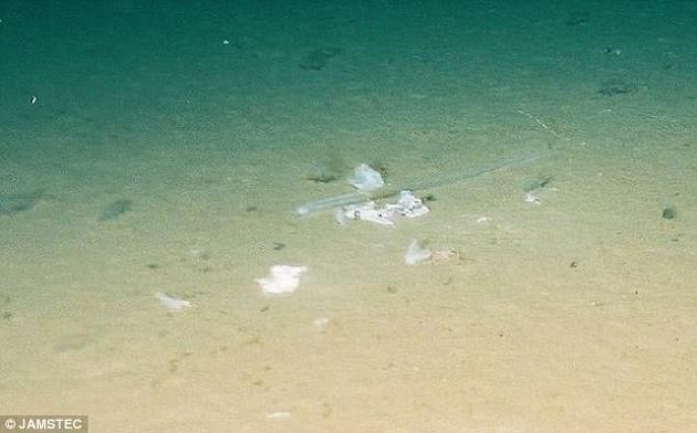 这张马里亚纳海沟底部塑料袋的图片拍摄于1998年5月20日，距离海面为10898米。