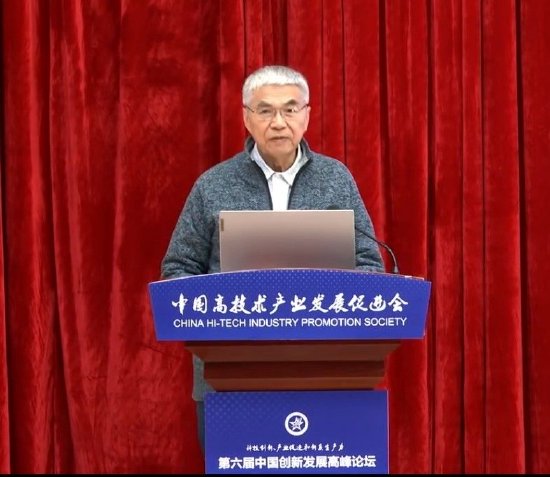 杨柏龄研究员峰会致辞