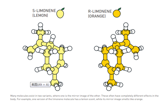 许多分子以两种变体的形式存在，其中一种是另一种的镜像。这些镜像分子会对身体产生完全不同的影响。例如，一种版本的柠檬烯分子具有柠檬香气（S-柠檬烯），而它的镜像版本（R-柠檬烯）则闻起来像橙子。