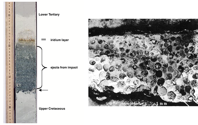 左图是一个岩心样本，在佛罗里达以东500公里的一个地点钻探（海洋钻探项目网站1049），生动地描绘了K-T事件。在岩心样本上面覆盖的铱层是一层喷射物质层。右图是格鲁吉亚共和国第比利斯附近的一个保存完好的考古遗址发现了一层一层的球粒（顶部较小的颗粒，底部较大），是从铱元素高度密集的撞击中喷射出来。
