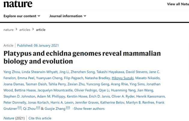 Nature：中外科学家首次重建现生哺乳动物共同祖先的基因组图谱