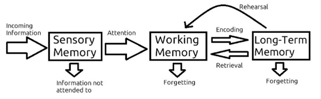 我们的记忆是如何运作的？