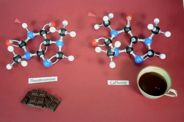 可可碱（左）和咖啡因（右）的分子结构