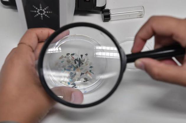 2020年11月26日，在希腊希腊海洋研究中心，一名生物学家检查在海洋物种中发现的微塑料。