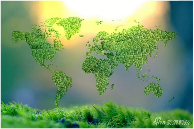 新浪数码|第六期中国绿色创新夏季学院项目结业 新一代绿色创新者开始他们的征程