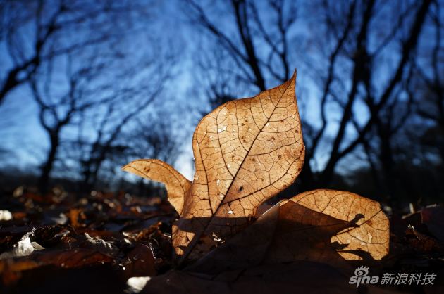 16mm, F4, 1/500s, ISO 100, +0.7EVILCE-7RM4A+SELP1635G