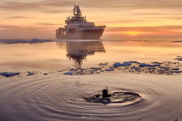 2、阿凡达联盟基金会摄影师卢·拉马尔在破冰船KronprinsHaakon前测试潜水服。该地点位于“欧若拉”海底火山区域，距离表面海冰4000多米。