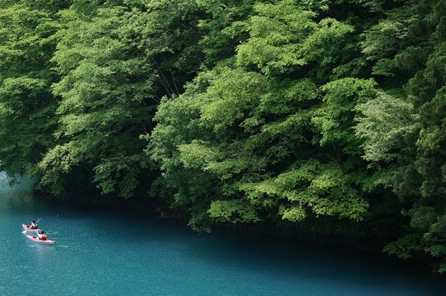 索尼全画幅新基准 索尼微单Alpha 7 IV发布