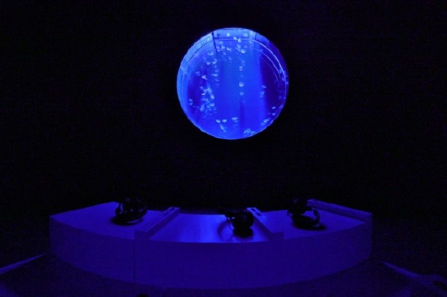 北京艺术与科技双年展现场，里米尼记录，《双赢》