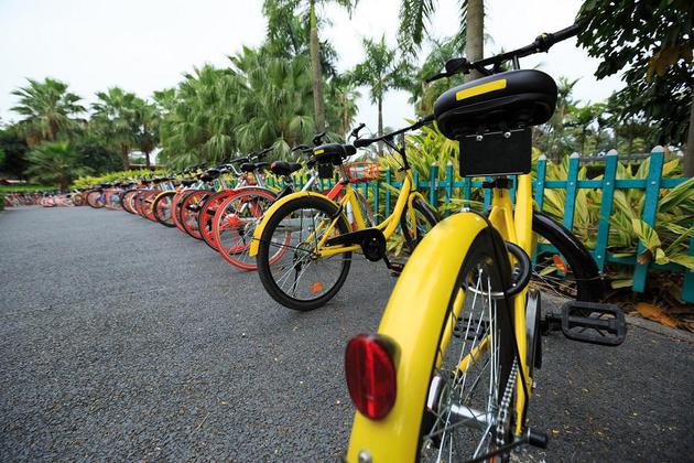 跨省共享單車投資返利詐騙案破獲 短期"致富"藏陷阱