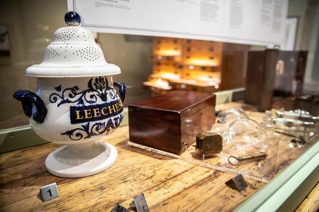图为一只19世纪的“水蛭罐”。当时的药房会将水蛭存放在这种罐子里，置于橱窗中展示。