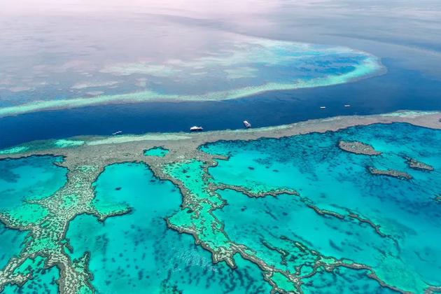 澳大利亚的大堡礁