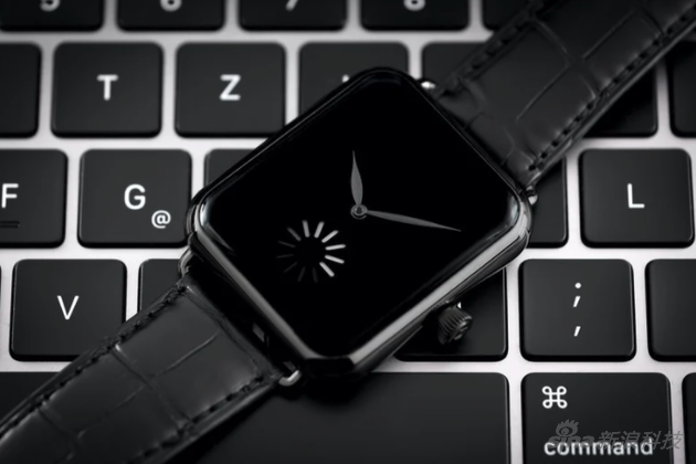 Swiss Alp WatchFinal Upgrade