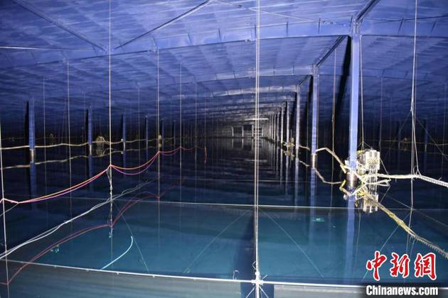 水池注水后的LHAASO水切伦科夫探测器内部。中科院高能所 供图
