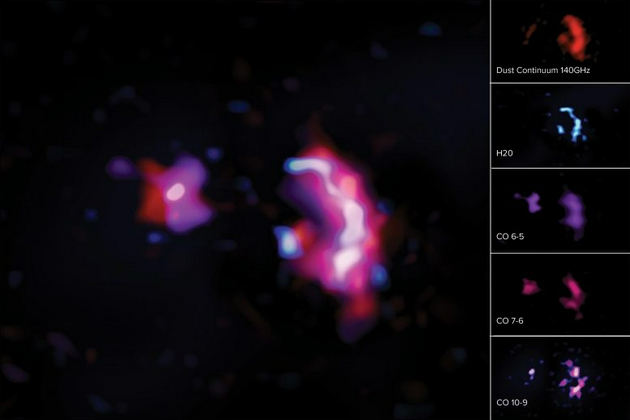 这些图像显示了早期大质量星系SPT0311-58观测中所看到的分子线和尘埃连续体。左图为合成图像，结合了尘埃连续体与水和一氧化碳的分子线。右侧从上到下分别为尘埃连续体（红色）、水分子线（蓝色）、一氧化碳分子线CO（6-5）（紫色）、CO（7-6）（品红）和CO（10-9）（粉色和深蓝色）