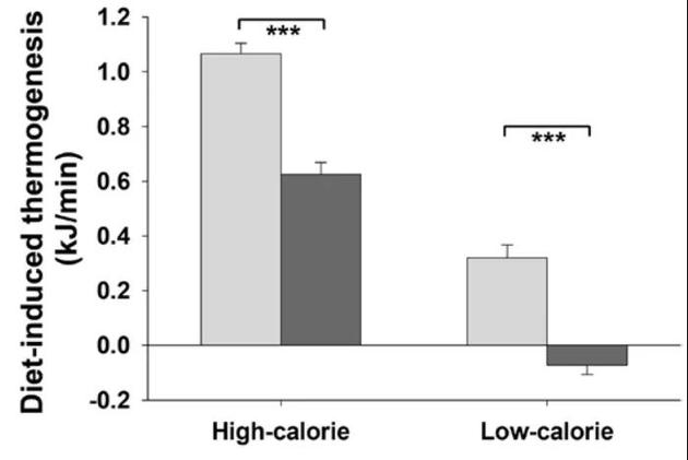 不管是低卡路里还是高卡路里膳食，早餐（浅色）都能产生比晚餐（深色）更多的饮食诱导产热