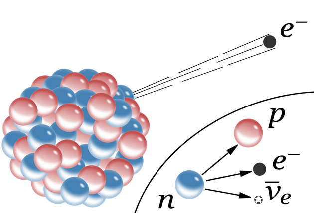 较重且不稳定的元素会发生放射性衰变，通常是以发射一个α粒子（1个氦核）或经历β衰变的形式（如图所示），一个中子转换成质子、电子和反电子中微子。这两种类型的衰变都改变了元素的原子序数，产生了与原先元素不同的新元素，并导致产物的质量低于反应物的质量。