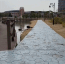 好强的压迫感gif搞笑图片