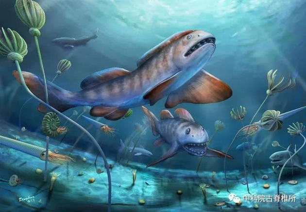 瓣齿鲨属在二叠纪乌拉尔期的古地理分布图（林翔鸿提供）