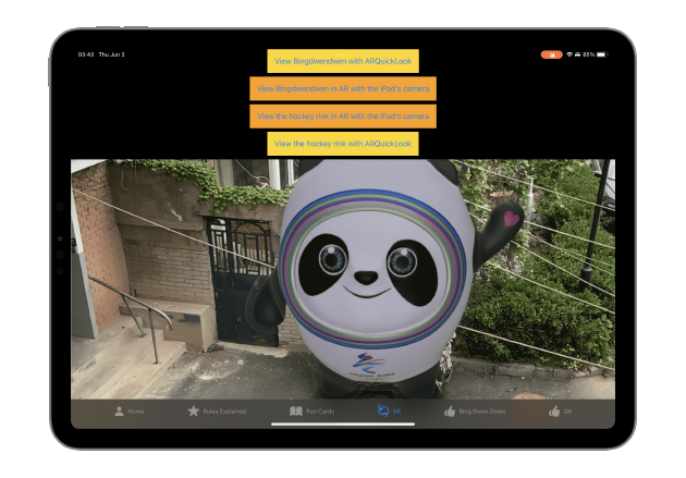 吴瑶瑶获奖作品《Hockey Tour With BingDwenDwen》