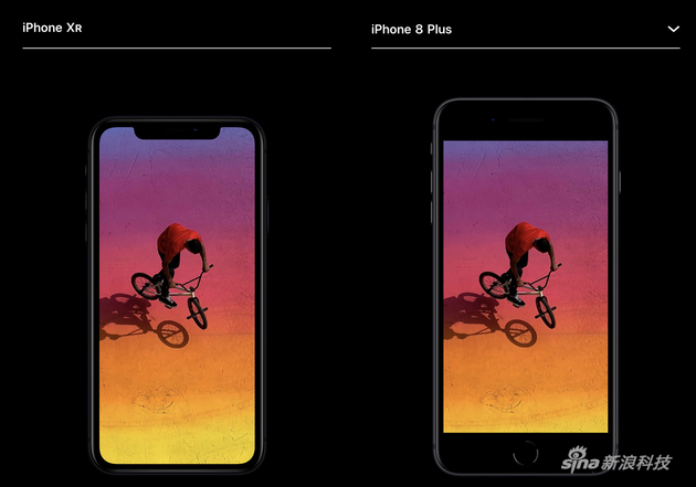iPhone XR跟iPhone 8 Plus大小对比（图片来自苹果官网）
