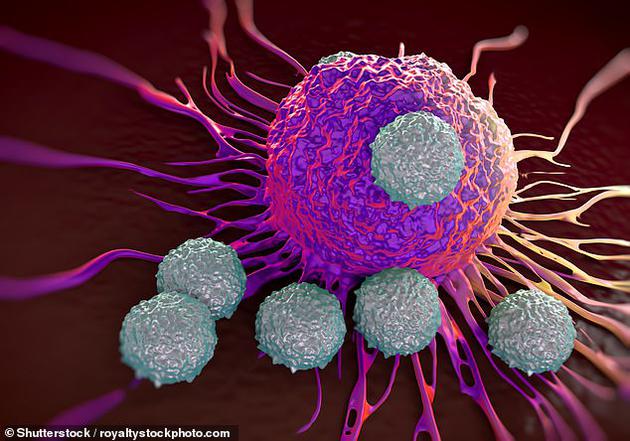牛津大学肿瘤系凯瑞•费舍尔说：“目前我们的最新技术同时针对纤维母细胞和癌细胞，期间用病毒杀死癌细胞，这可能是减少癌症免疫系统抑制性的重要一步，这应该可以启动正常的免疫过程。”
