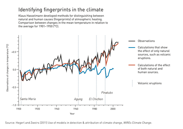 确定全球变暖的指纹：Klaus Hasselmann提出了一些区分天然大气变暖与人类所致大气变暖的方法。图为平均气温与1901年至1950年间平均气温变化的比较。 黑线：观测值；蓝线：仅体现天然原因造成影响的计算值，如火山喷发等； 红线：体现天然与人为影响的计算值；竖虚线：火山喷发