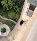 大闸蟹大妙用gif搞笑图片