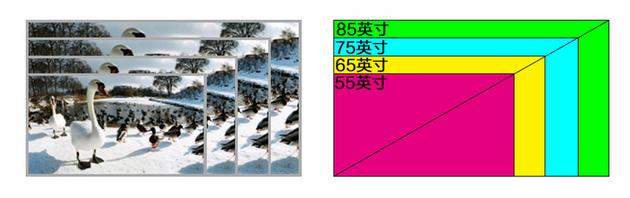 65寸大电视都跌破3000元了 你还要买55寸电视？