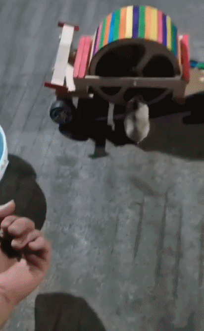 先行一步 回家了-搞笑gif动态图片-izike