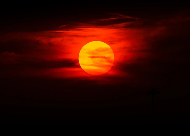 鼹鼠可能成为毁灭灾难之后的幸存物种，它很可能在核战争中幸存下来，因为它几乎所有时间都呆在地下洞穴中，在这里可以免遭辐射和极端天气的影响，裸鼹鼠对癌症具有极强的抵抗力，从而有助于它们在高辐射环境中存活。