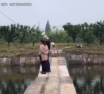 狗狗表示想吃鱼肉gif搞笑图片