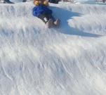 带我去任意地方gif搞笑图片