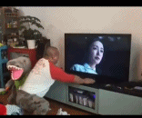 入戏也太深了gif搞笑图片