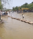 西湖没有白娘子了gif搞笑图片