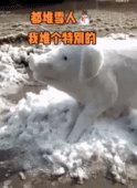 比起堆雪人更想堆雪猪gif搞笑图片