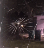 小蜘蛛是如何织网的gif搞笑图片