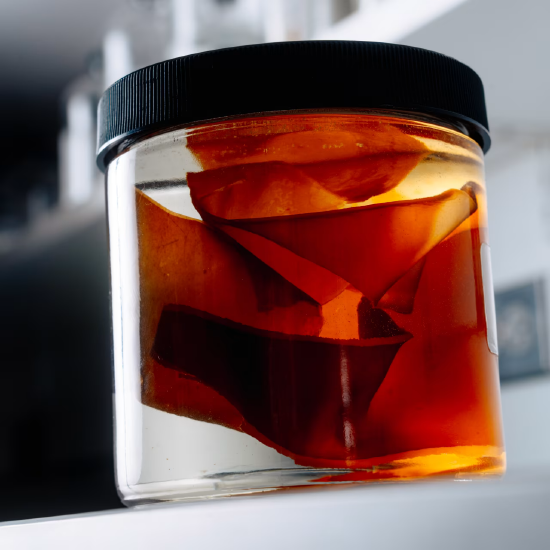 抖音买1000点赞，究竟值多少钱？