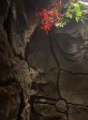 原始环境的情趣酒店-搞笑gif动态图片-izike
